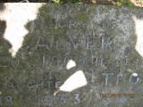 image of grave number 366097
